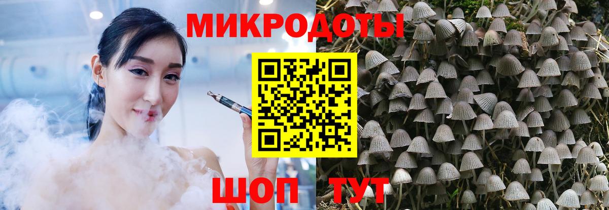 Галлюциногенные грибы Magic Shrooms Магадан