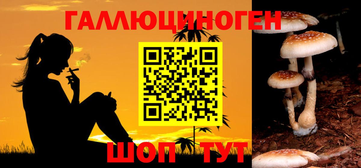 Магадан  Псилоцибиновые грибы GOLDEN TEACHER  Вход с VPN 